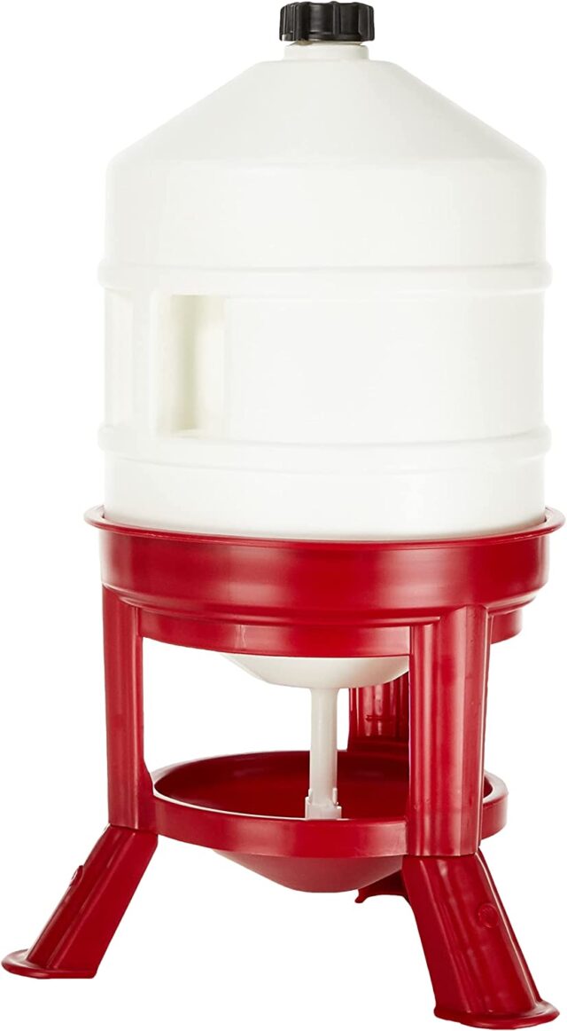 Novital Bebedero para Aves de Corral Ascott 30 litros
