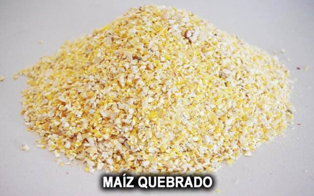MAIZ CASCADO PARTIDO 25KG