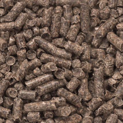 PELLET PULPA DE REMOLACHA 25KG