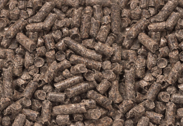 PELLET PULPA DE REMOLACHA 25KG