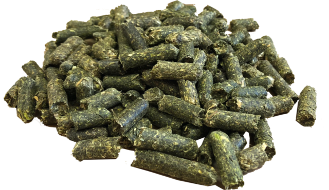 PELLET DE ALFALFA PARA CABALLOS 25KG