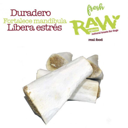 Hueso de tibia relleno de búfalo horneado Blanqueado, bolsa 10 piezas