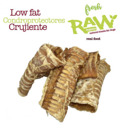 Fresh Raw tráquea de búfalo deshidratada 3/4 UNIDADES pack 100 g